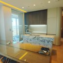 소노펠리체 델피노 이미지