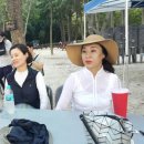 태화강 철새공원 이미지