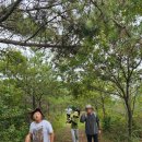 북평 오산마을 구간 | 신안 비금도 그림산 환상적인 풍경과 함께한 초보등산 후기