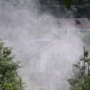 최창호농장 이미지