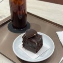 푸른카닥터 | 250404-17. 봄봄