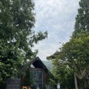 보광산관광농원 | 물놀이부터 감성 캠프닉 즐기기 좋은 보광산관광농원 아기와가볼만한곳