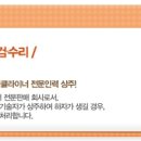 엘레쟈코리아 이미지