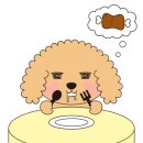 비지바이