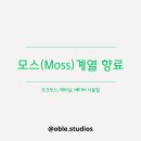 오크모스 이미지