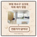 화인크리닝 | [업체 이용 후기] 부엌 싱크대 하수구 악취 냄새 제거