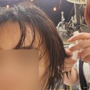 대치동미용실 : 최고급 헤어살롱 클리닉 후기 &#34;에코쟈뎅 대치테라스점&#34;