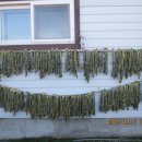 영화자원 이미지