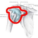 참벗한의원 이미지