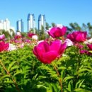 풍전 경로당 이미지