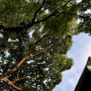 대성빌라 앞 이미지