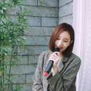 케이시 이미지