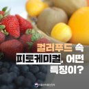 컬러푸드