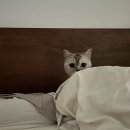 (주)우리학원 | 부천 국비지원 KD인테리어 필름학원 수료 후기