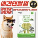 더독 - 성남시 분당구 석운로120번길 4 | 더독