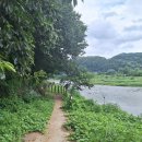 상보안세월교 이미지