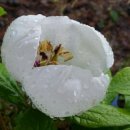 효원가든 이미지