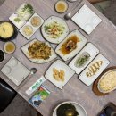 도시참치 | [충남 금산 맛집 도시어부] 현지인 추천 맛집, 참치회 후기 !