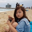 바다정원민박 이미지