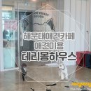 테리몽하우스 이미지
