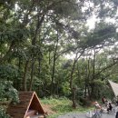 기장애견 이미지