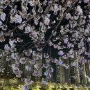 사직오뎅바