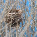 겨울 전래놀이 탐험대 이미지