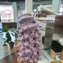카페362보석박물관점