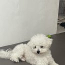 잇(it)샵 이미지