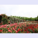 곡성-035 티스토리