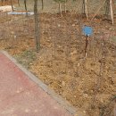 별망초앞 이미지