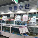 왕돌수산 이미지
