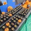 용인대 힘찬나래 이미지