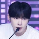 케이수족관