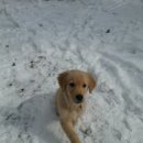 하늘아래 첫동네 꿩밭 이미지