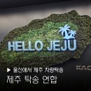 (주)공항엘피지충전주유소 | 제주도 차량 탁송 제주탁송연합 울산에서 제주 비용 시간 한달살이