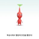 피크민에 미친 일상 털어볼게요 (+중국 피크민 후기)