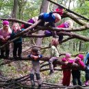 엘라 유치원 이미지