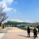더케이펫 강아지분양 네이버블로그
