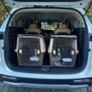 털로덮인친구들(키녹점) 이미지