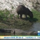 올림픽 골프장 이미지