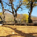 신원양지마을 이미지