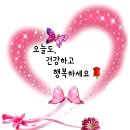 오늘도건강