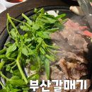 명품 갈매기 | 광주 양산동 고기집 추천｜가성비 미쳤다! 부산갈매기 양산점 솔직후기