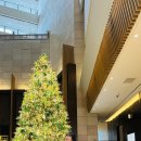 모모호텔 | [남대문] 특별한 날 가면 좋은 호텔 뷔페 [코트야드 메리어트 모모카페 솔직 후기]