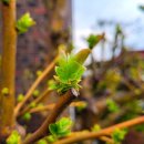 원평성당 앞 이미지