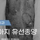 나의 동물메디컬 센터 이미지