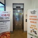 애견카페 134 | 동탄 애견카페 아이언앤우드 후기 | 2동탄 신상 노키즈존 애견카페