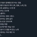 나옹이네 이미지
