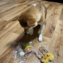 꼼스테이블 이미지